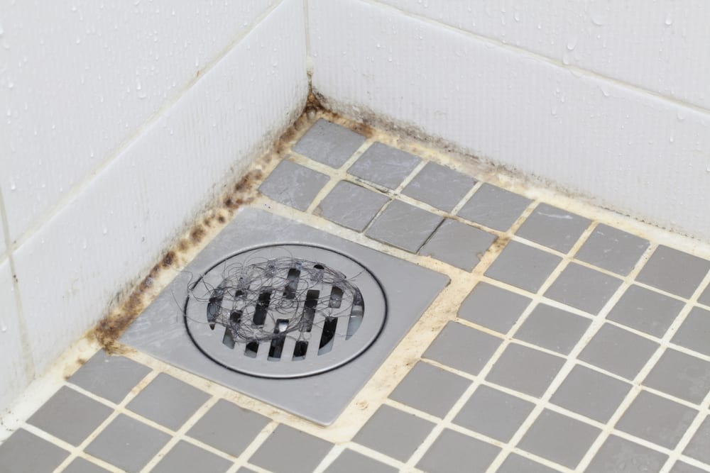 How To Stop Bathroom Mold