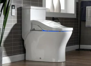 Energy efficient plumbing solution is a low flow toilet plumbing fixture.