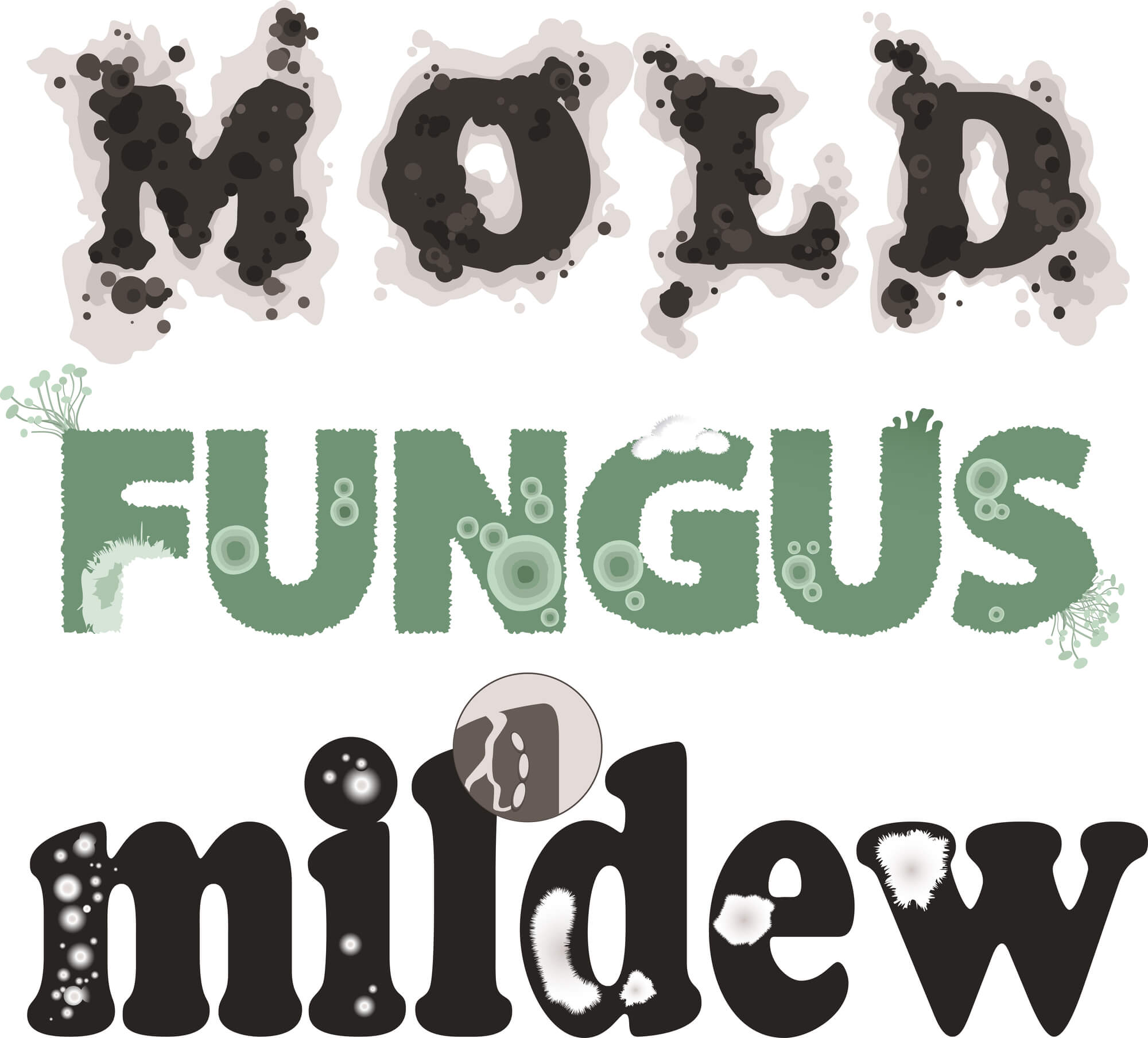 Mold, Fungus Mildew