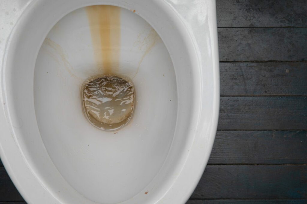 Stubborn Rust Stains from Your Toilet with Ease!
