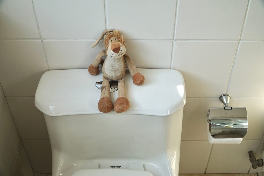 Toy in our toilets
